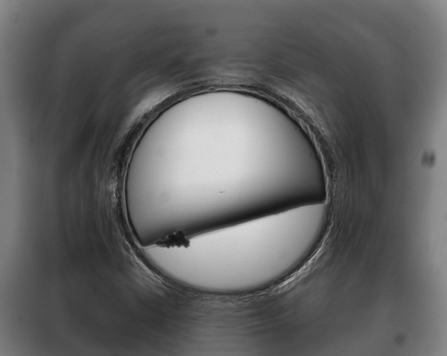 X0000100421402200806060938