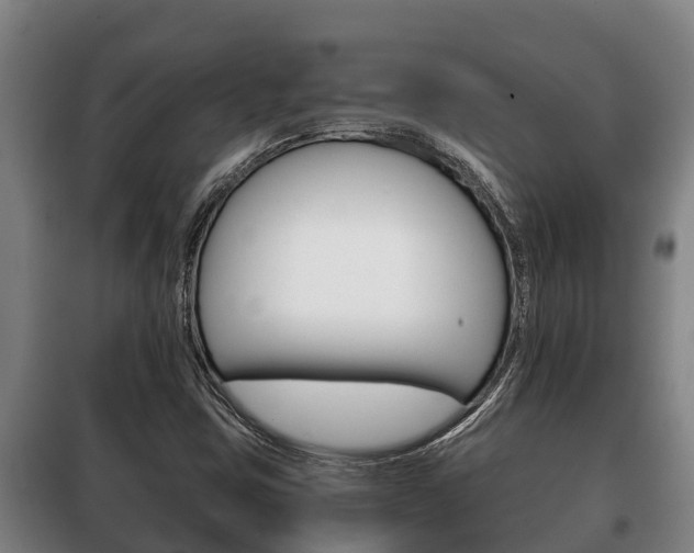 X0000100421403200806060938