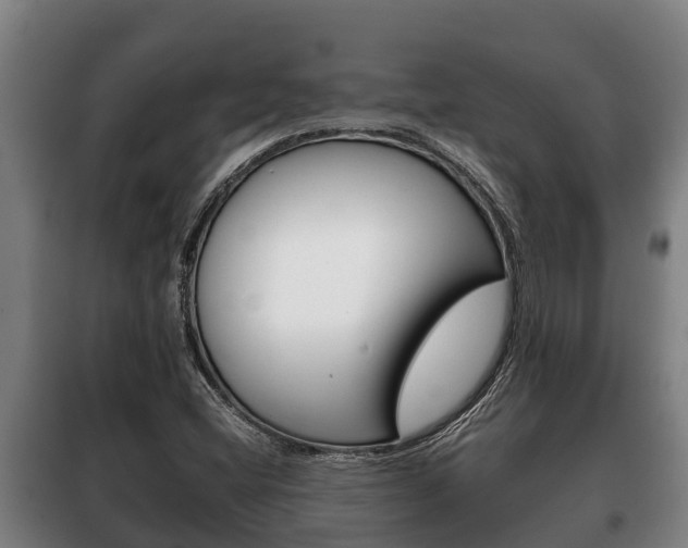 X0000100421404200806060938