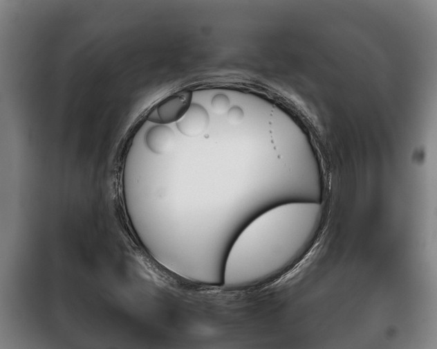 X0000100421405200806060938