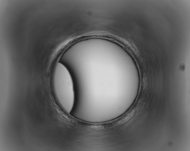 X0000100421406200806060938