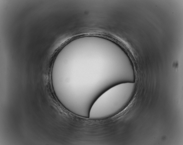 X0000100421407200806060938
