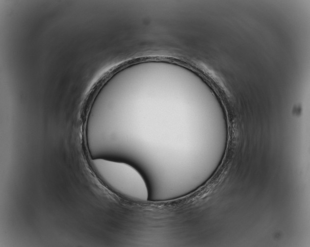 X0000100421408200806060938