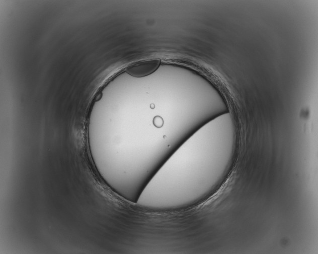 X0000100421409200806060938