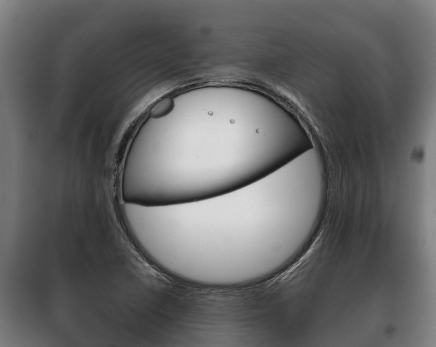 X0000100421410200806060938