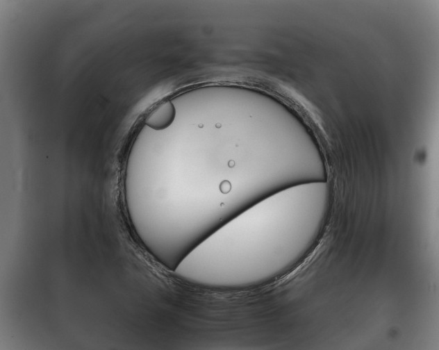 X0000100421411200806060938