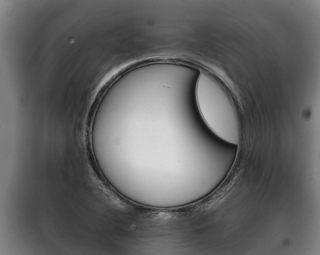 X0000100421412200806060938