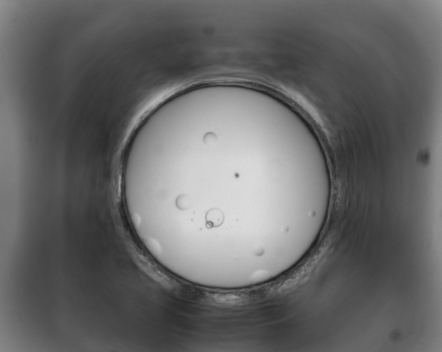 X0000100421413200806060938