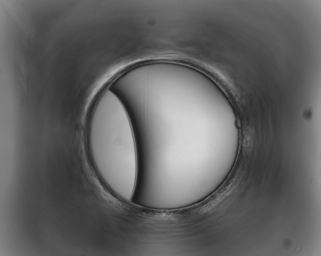 X0000100421414200806060938