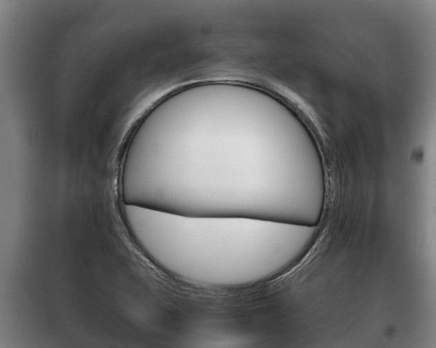 X0000100421415200806060938