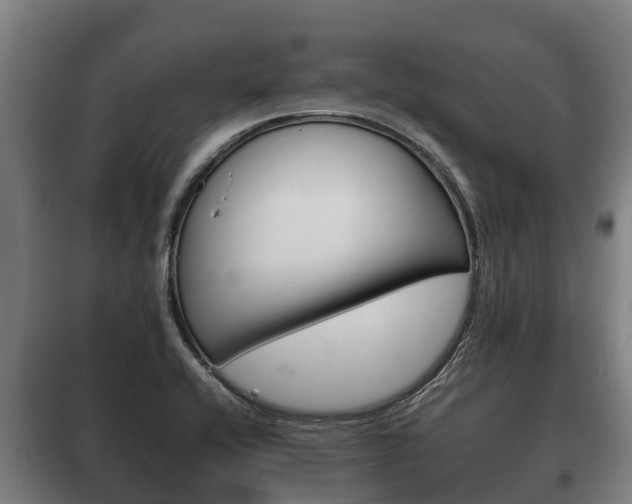 X0000100421416200806060938