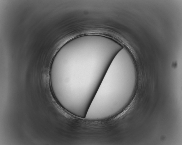 X0000100421417200806060938