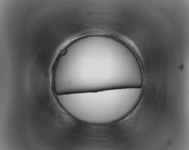 X0000100421419200806060938