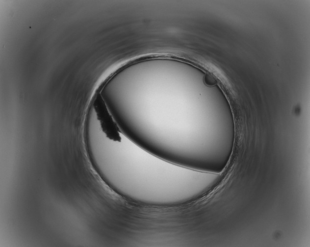 X0000100421420200806060938