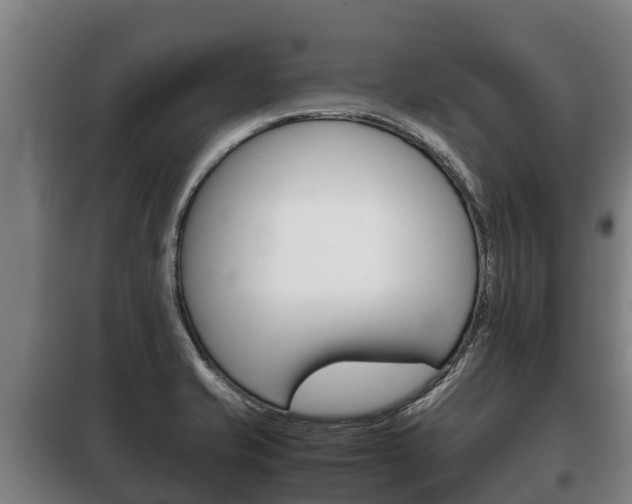 X0000100421421200806060938