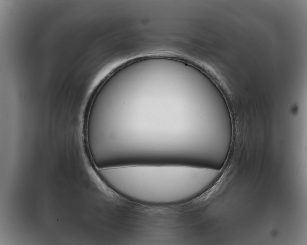 X0000100421422200806060938