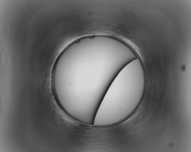 X0000100421423200806060938