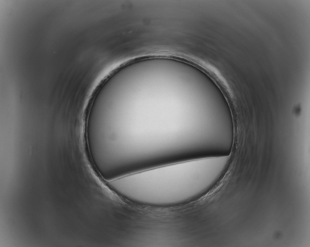 X0000100421424200806060938
