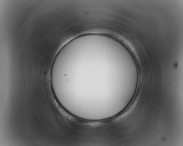 X0000100421425200806060938