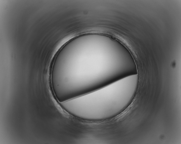 X0000100421426200806060938