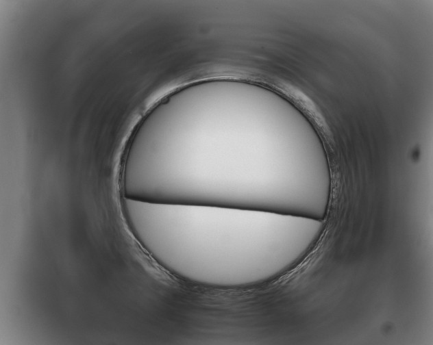 X0000100421427200806060938