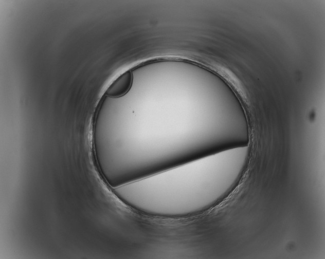 X0000100421428200806060938
