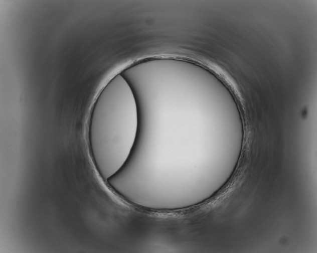 X0000100421429200806060938