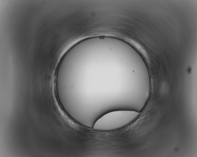 X0000100421431200806060938
