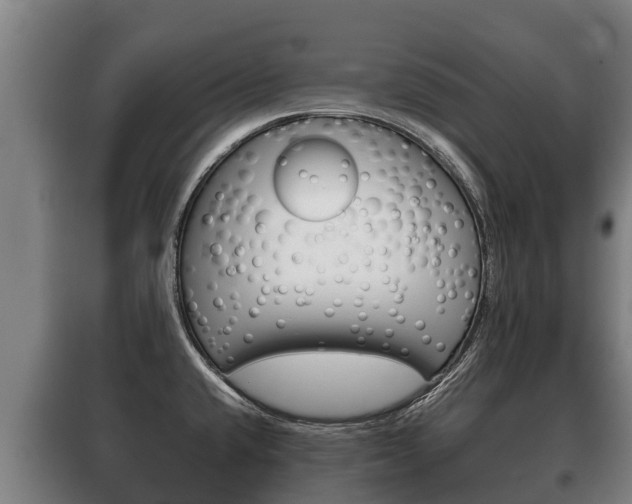 X0000100421432200806060938