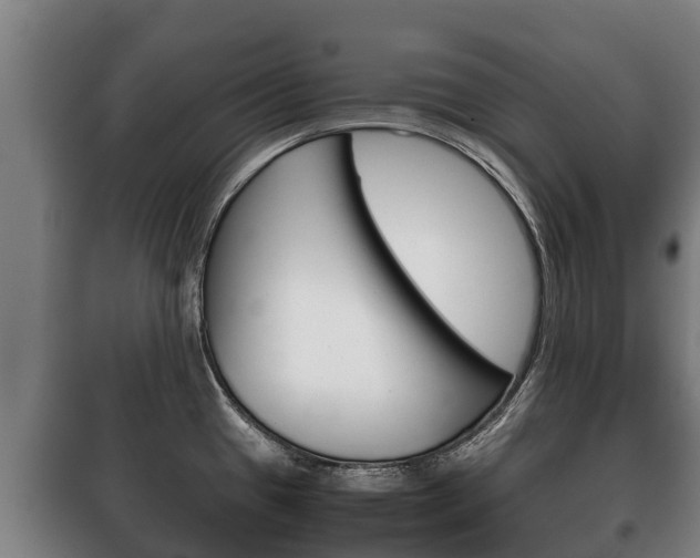 X0000100421433200806060938
