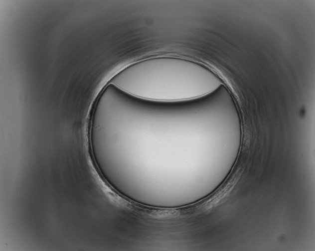 X0000100421434200806060938