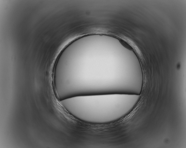 X0000100421435200806060938