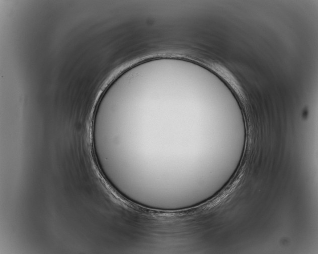 X0000100421436200806060938