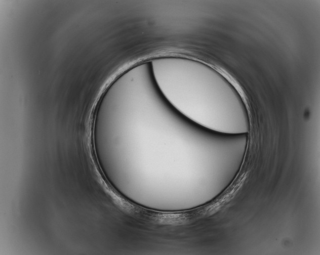 X0000100421437200806060938