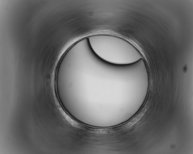X0000100421438200806060938