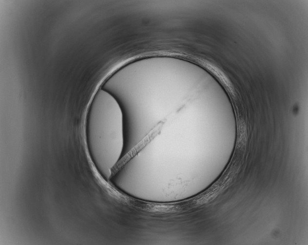 X0000100421439200806060938