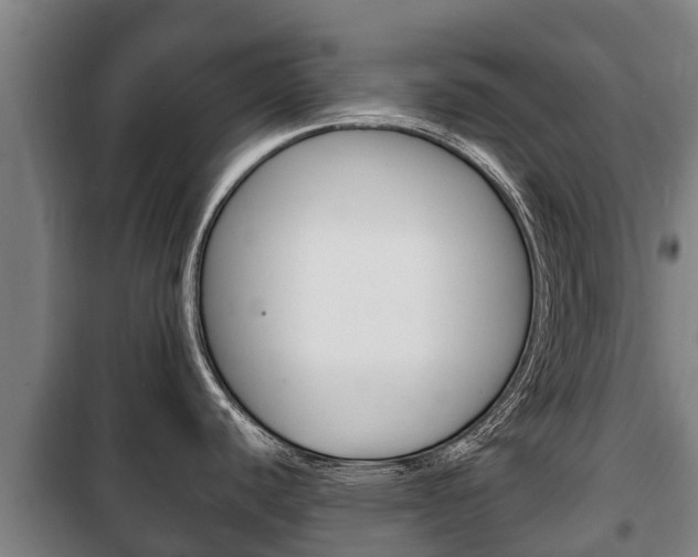 X0000100421440200806060938