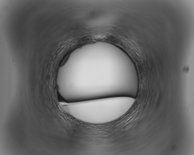 X0000100421441200806060937