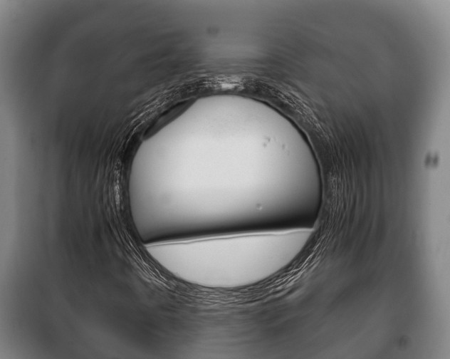 X0000100421442200806060937