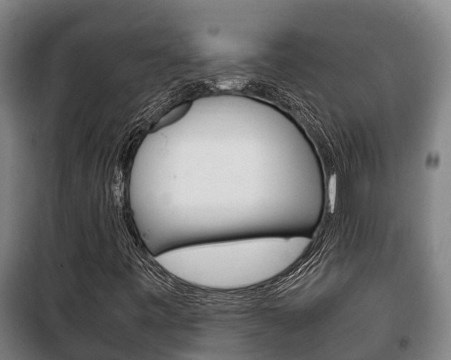 X0000100421443200806060937