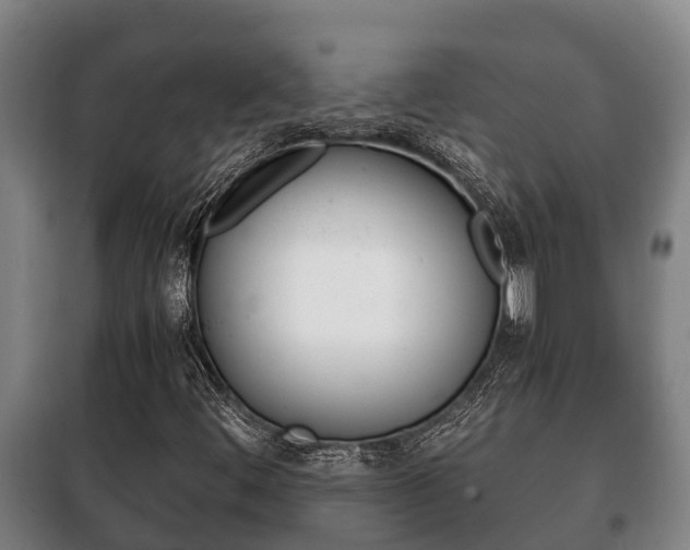 X0000100421444200806060937