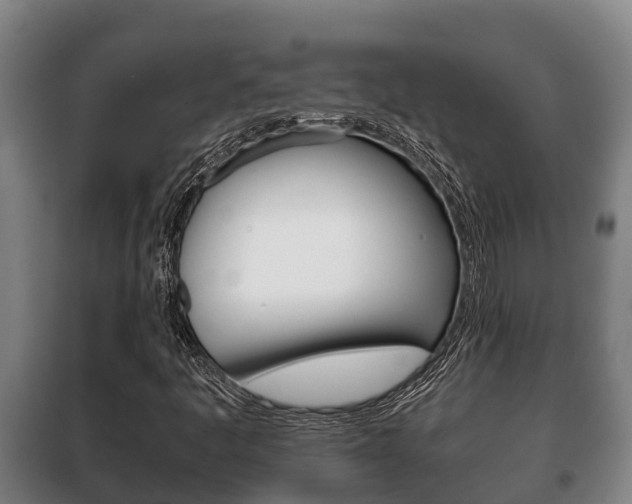 X0000100421445200806060937