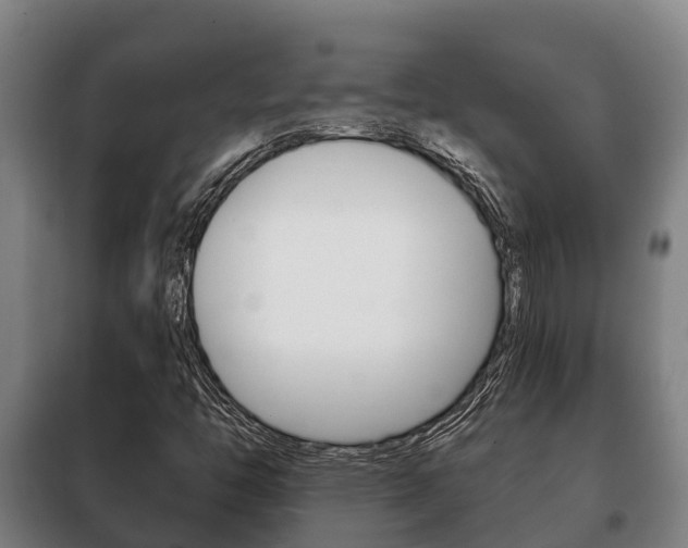 X0000100421446200806060937