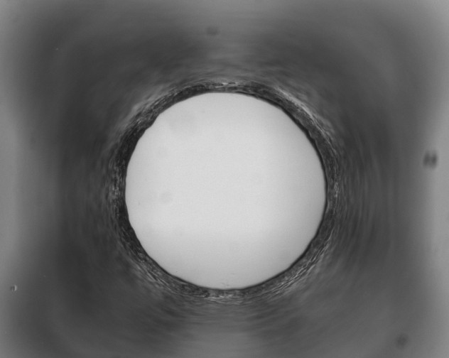 X0000100421447200806060937