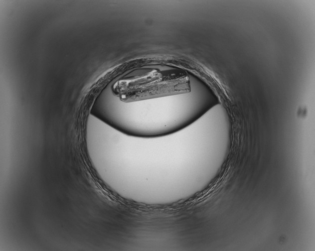 X0000100421448200806060937