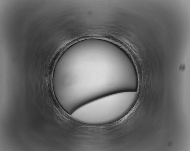 X0000100421449200806060937