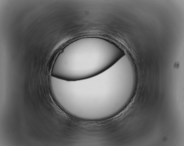 X0000100421450200806060937