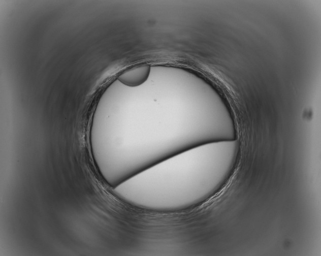 X0000100421451200806060937
