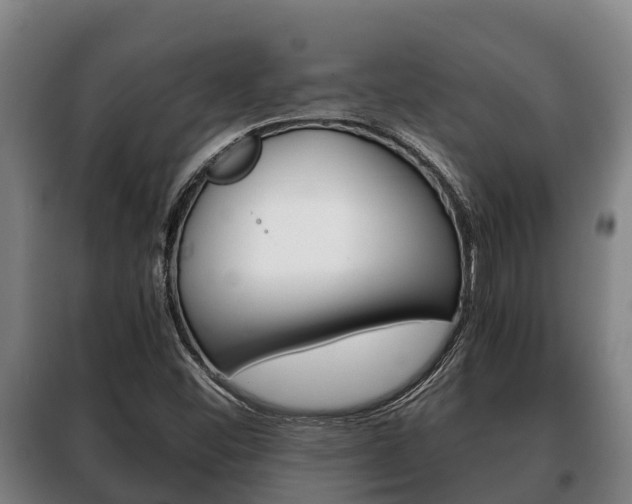 X0000100421452200806060937