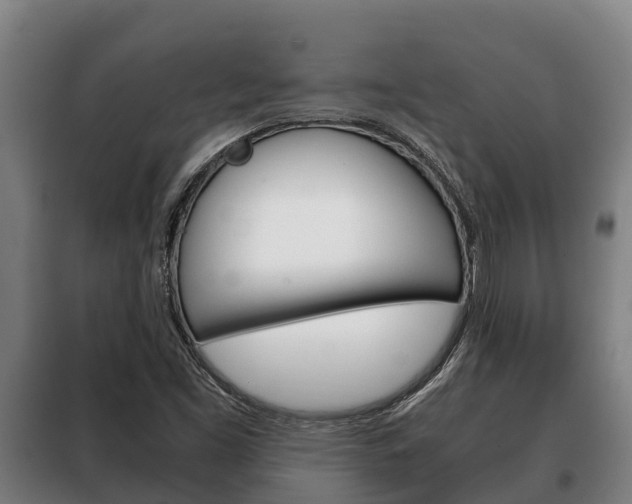 X0000100421453200806060937